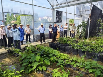 探索農友9875 現代種植技術開發的動態與前景