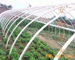 供應新型大棚支架 安陽星光種植技術(shù)開發(fā)引領(lǐng)農(nóng)業(yè)現(xiàn)代化