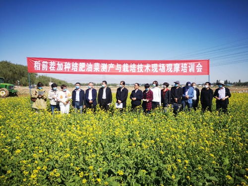 飼料綠肥油菜種植加工綜合利用關(guān)鍵技術(shù)研究與示范現(xiàn)場觀摩會成功舉辦，助推種植技術(shù)開發(fā)與集成應用