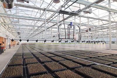 九色油菜花 科技繪就春之斑斕，新質(zhì)生產(chǎn)力在杭州花田綻放